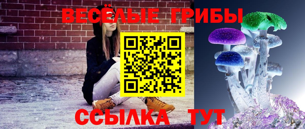 Советская Гавань  Псилоцибиновые грибы GOLDEN TEACHER  Вход с VPN 
